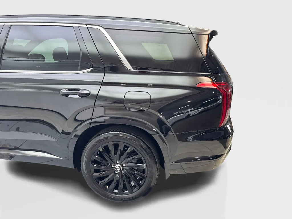 Hyundai Palisade photo 19