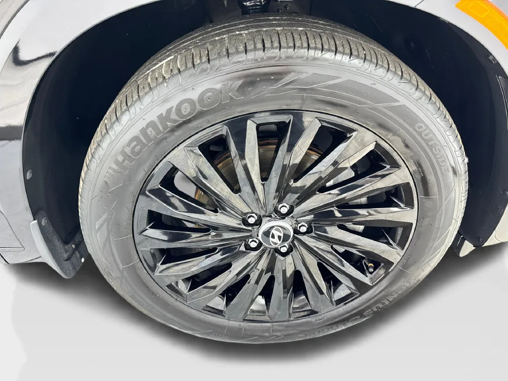 Hyundai Palisade photo 87