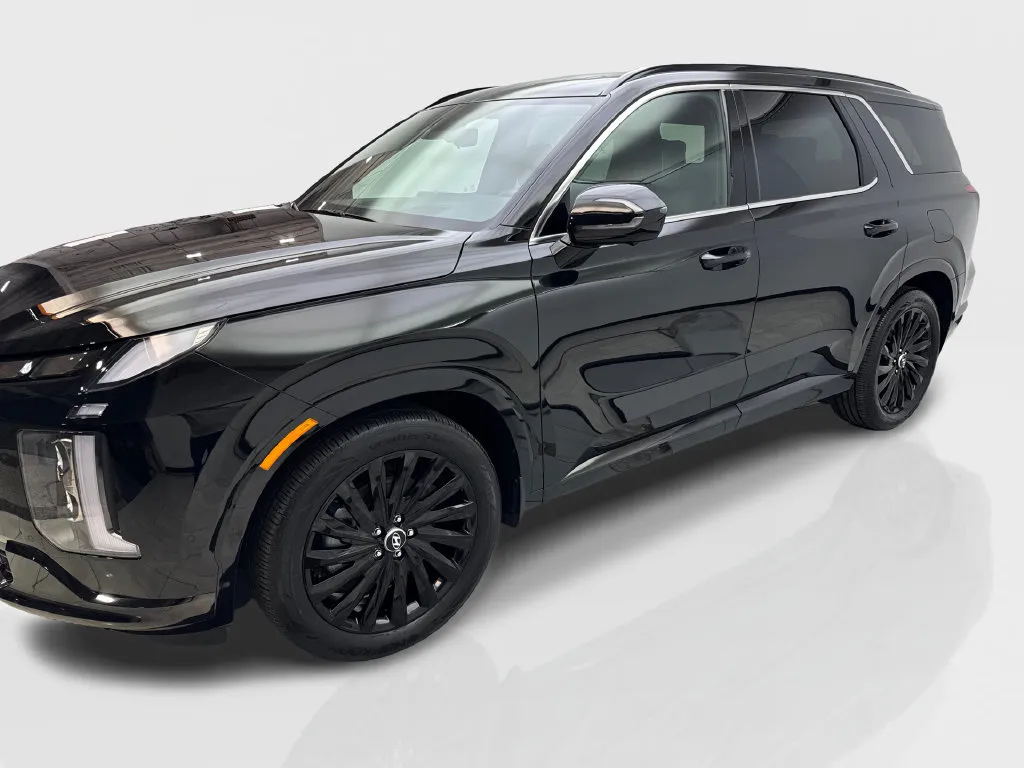 Hyundai Palisade photo 12