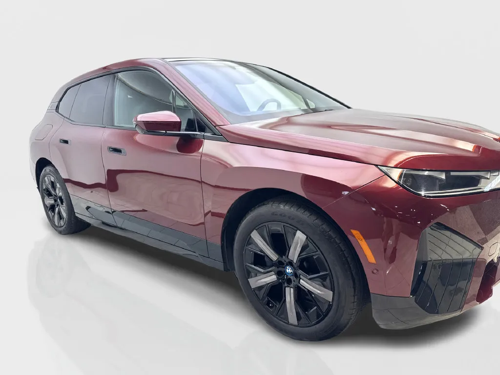 BMW iX photo 14