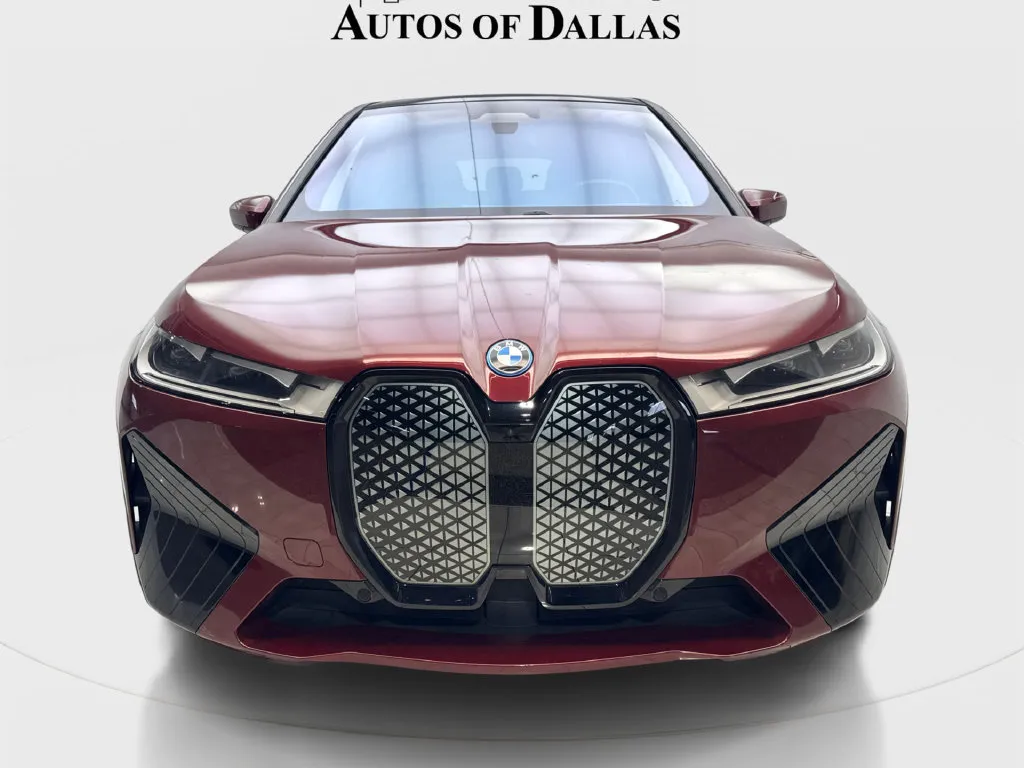 BMW iX photo 4