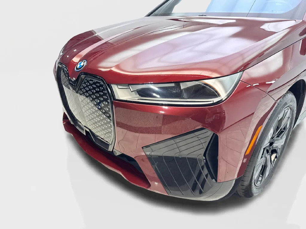 BMW iX photo 18