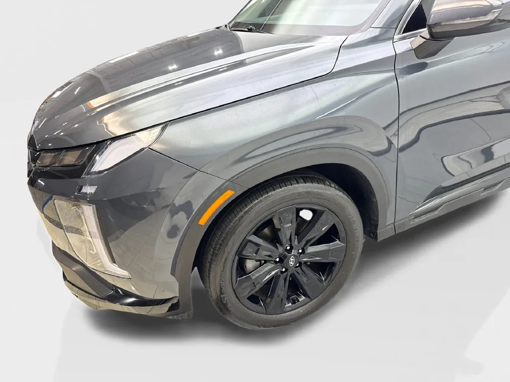 Hyundai Palisade photo 20