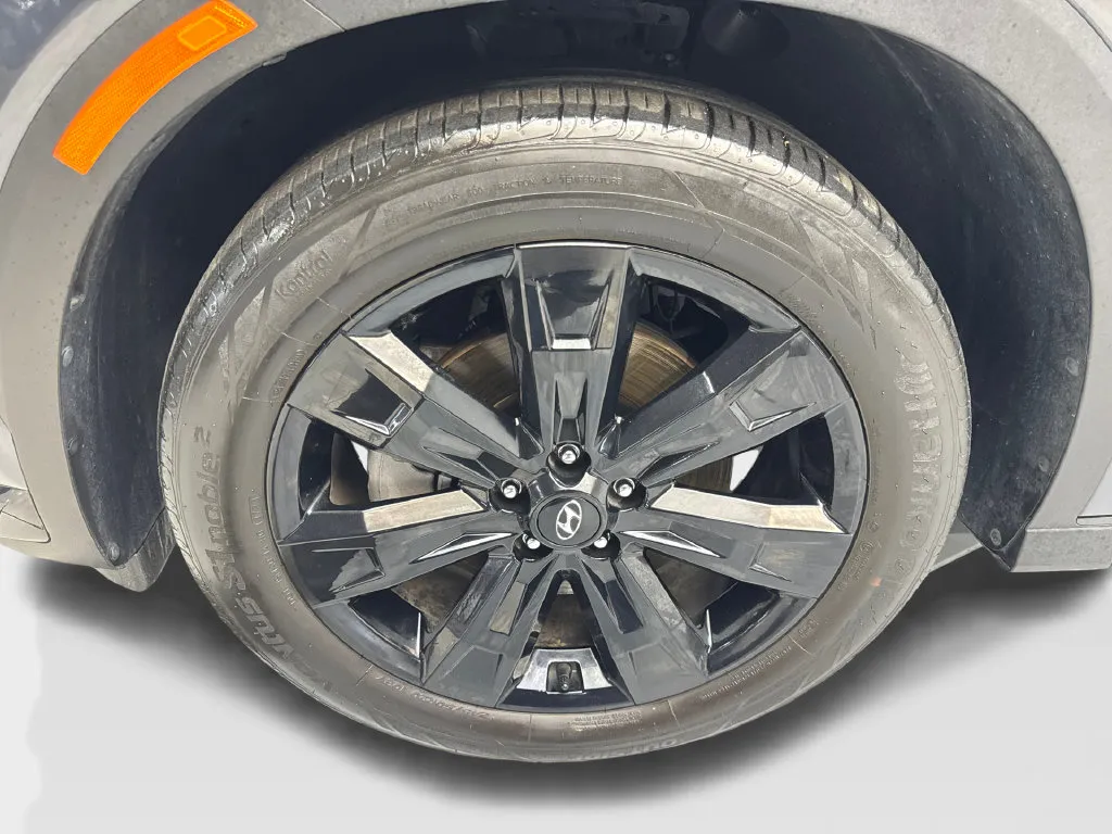 Hyundai Palisade photo 83