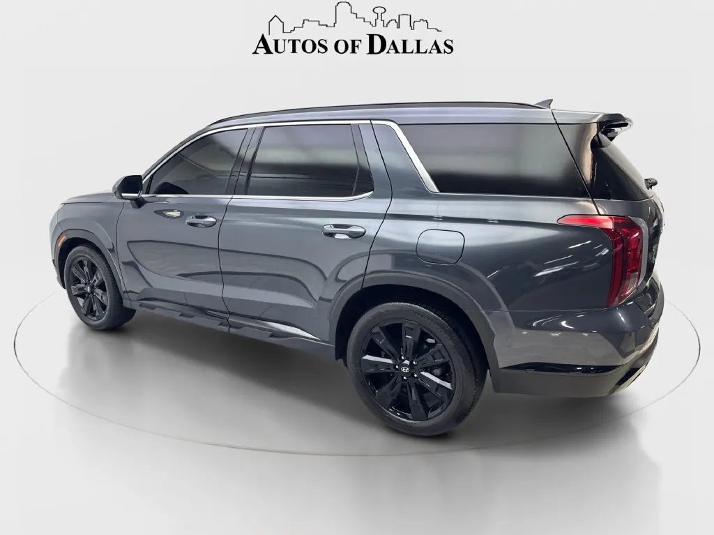 Hyundai Palisade photo 10