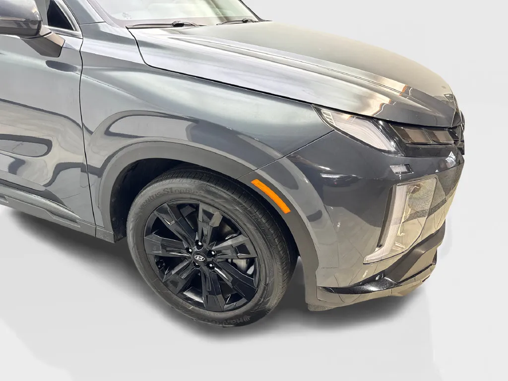 Hyundai Palisade photo 21
