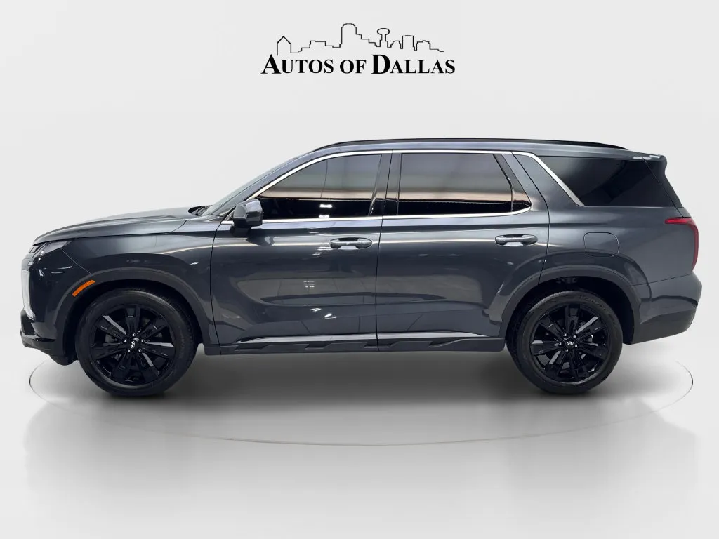 Hyundai Palisade photo 11