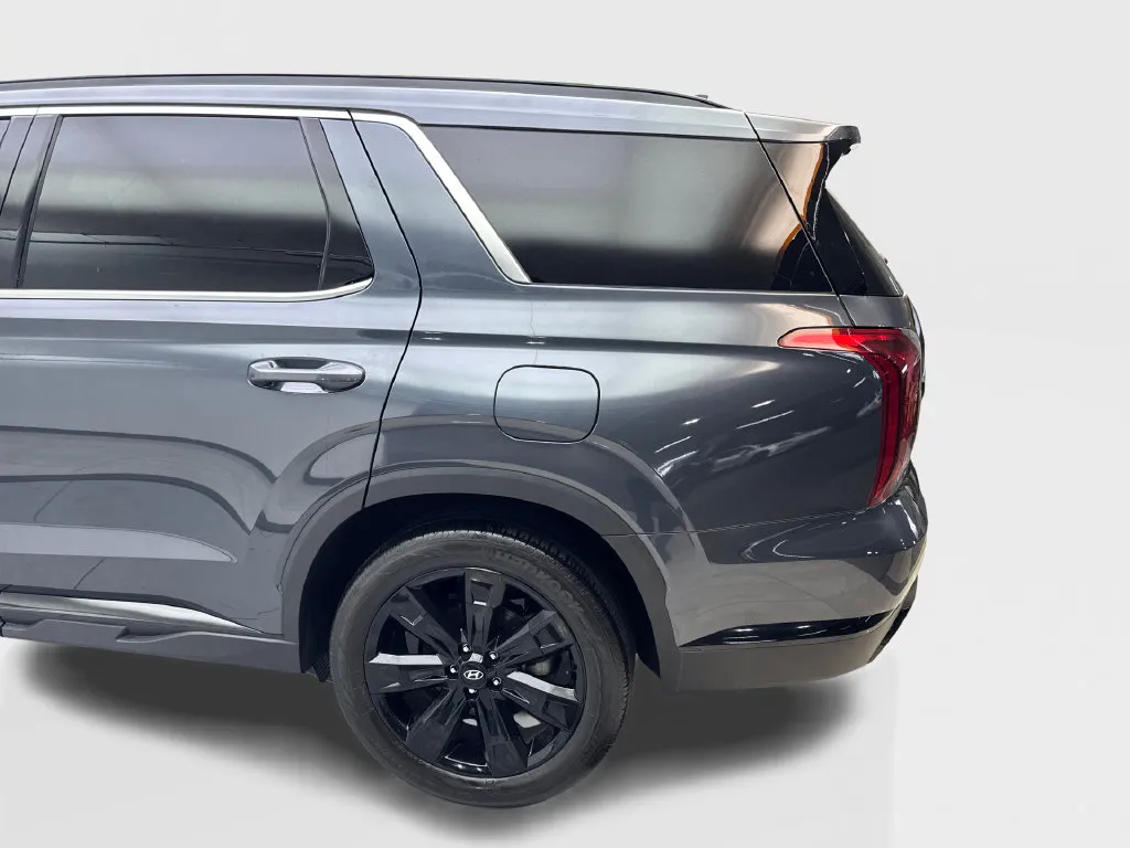 Hyundai Palisade photo 19