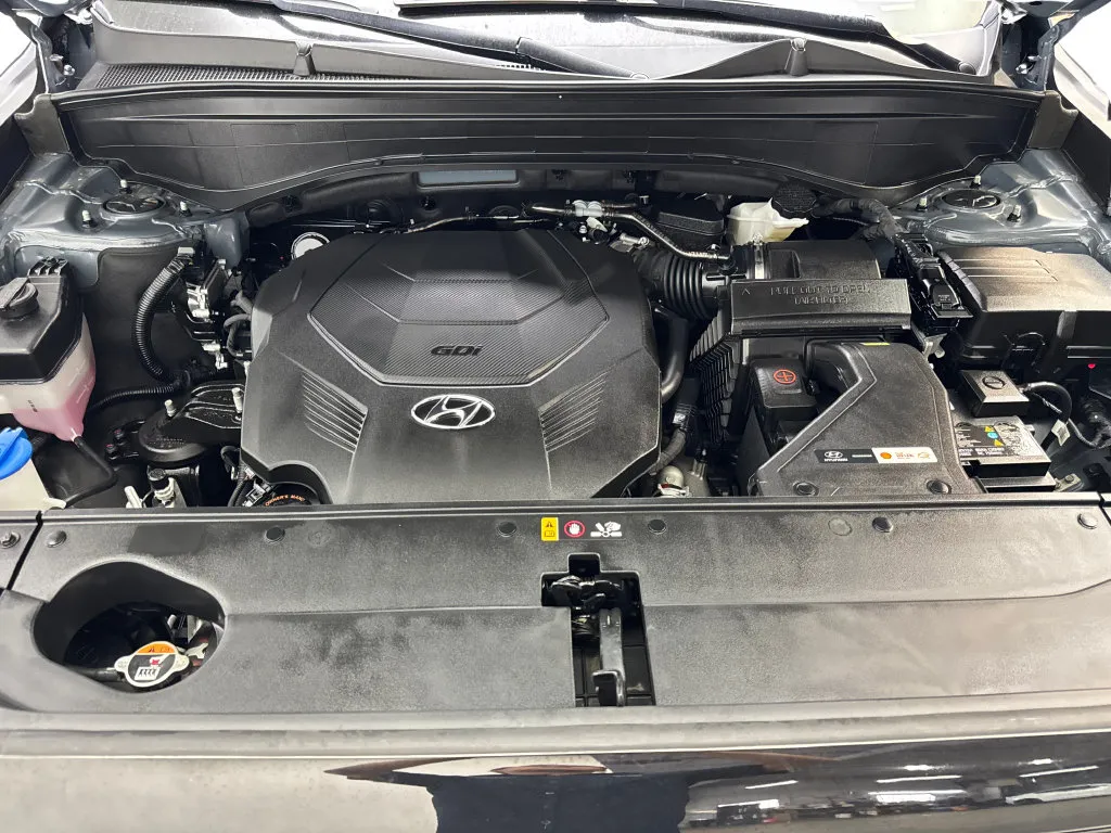 Hyundai Palisade photo 77