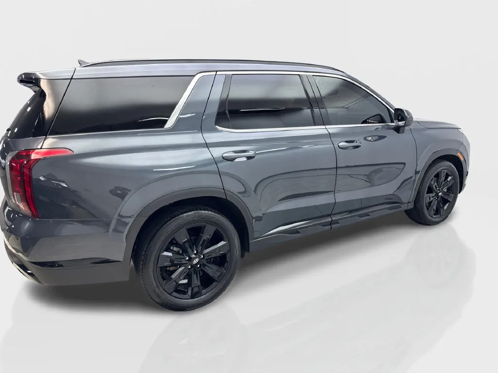 Hyundai Palisade photo 14