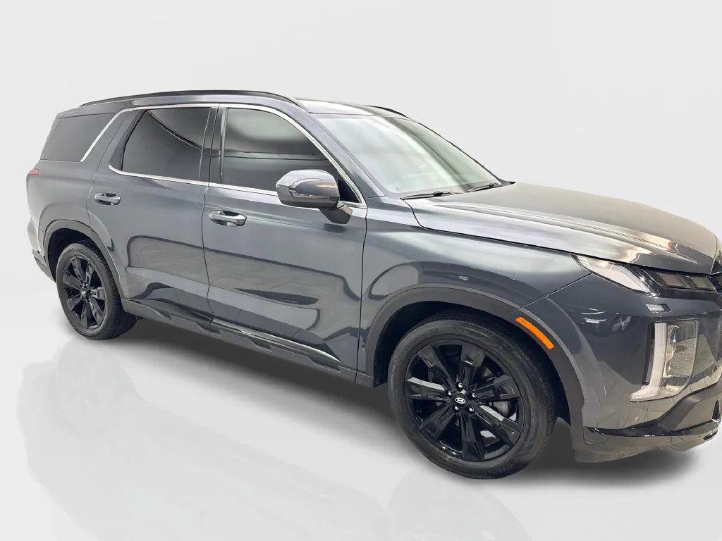 Hyundai Palisade photo 16