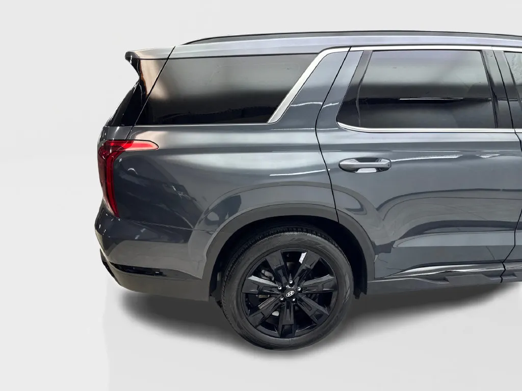 Hyundai Palisade photo 18