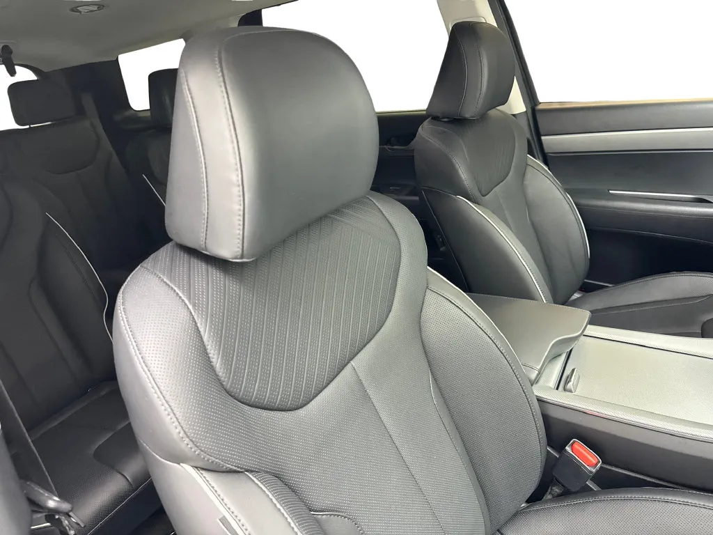 Hyundai Palisade photo 49