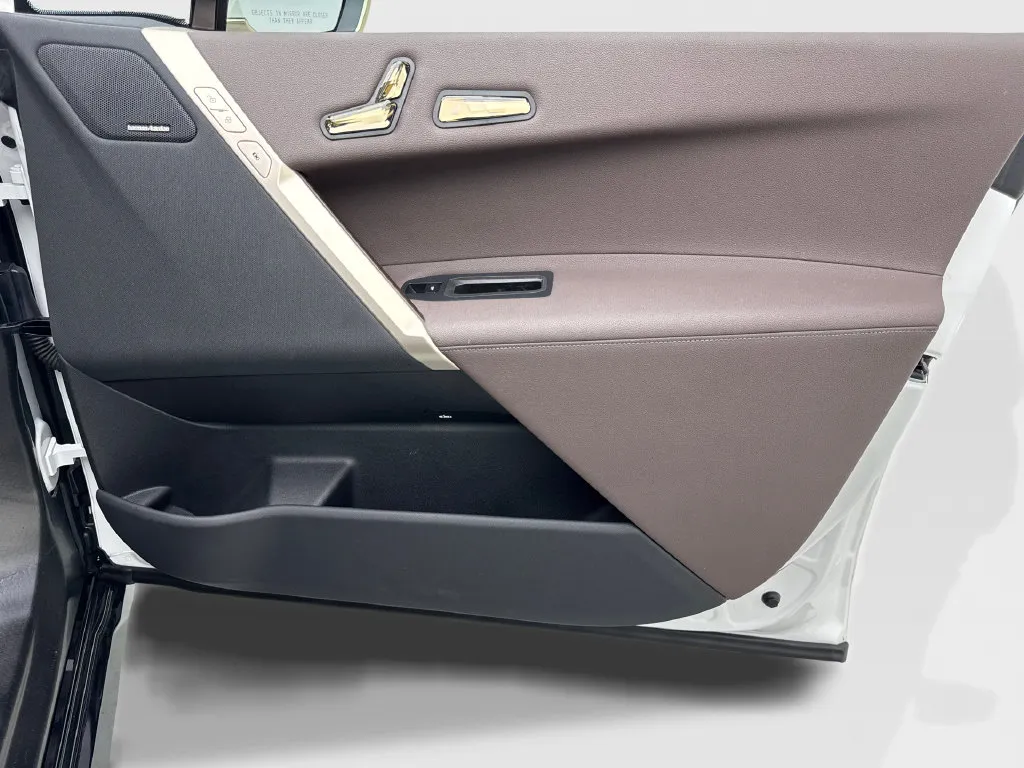 BMW iX photo 48