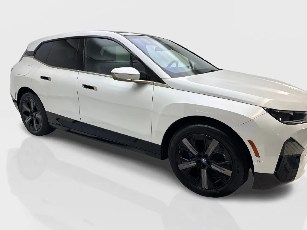 BMW iX photo 15