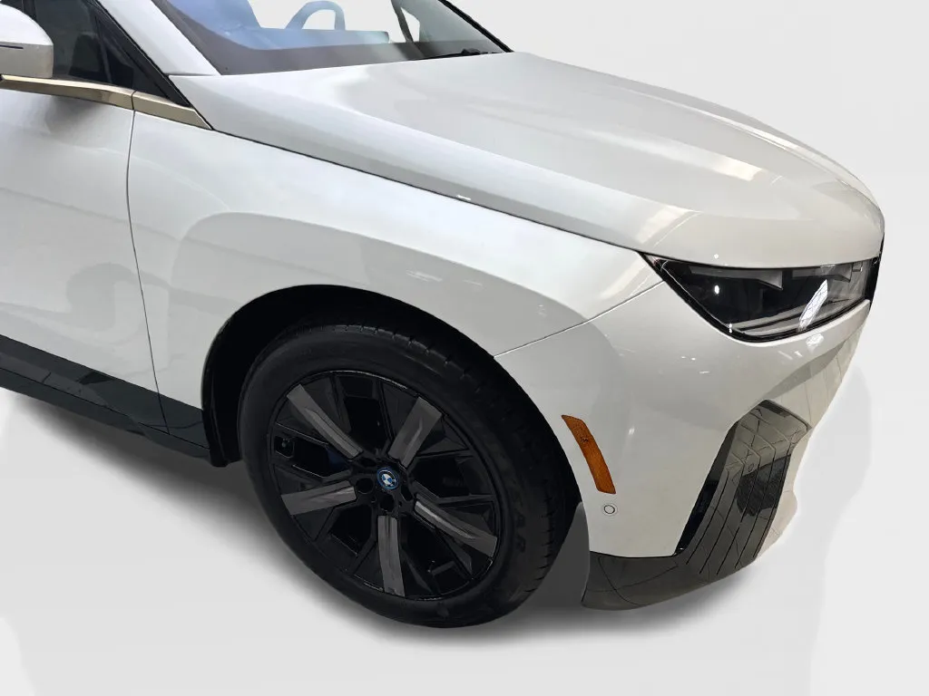 BMW iX photo 21