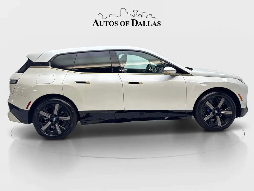BMW iX photo 6