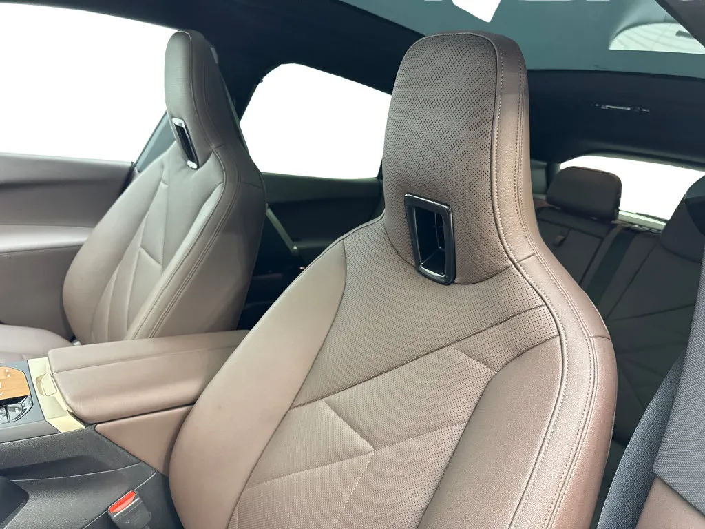 BMW iX photo 29