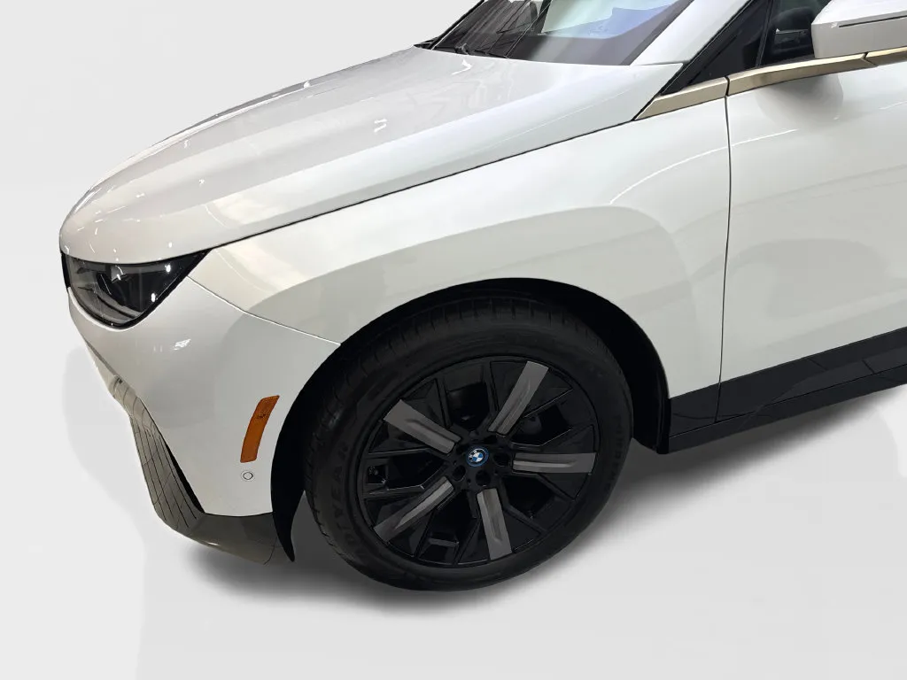 BMW iX photo 20