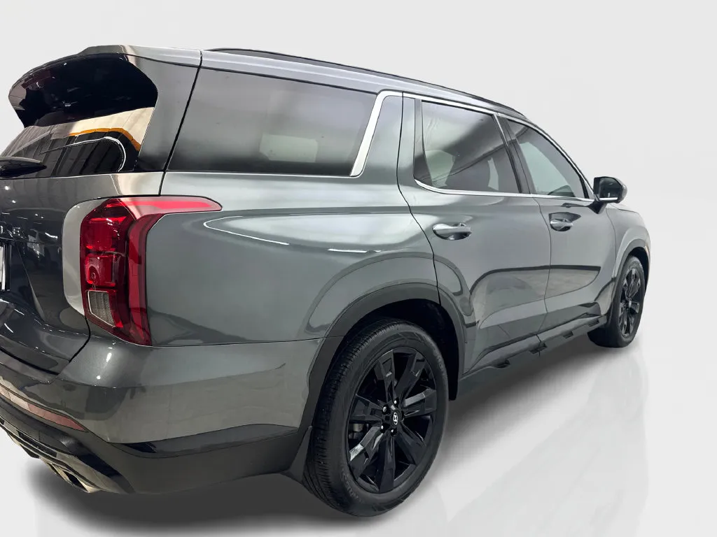 Hyundai Palisade photo 15