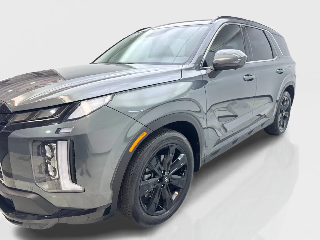 Hyundai Palisade photo 12