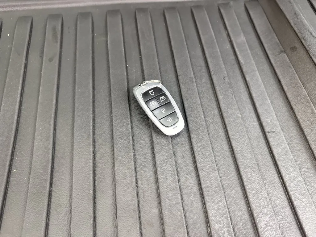 Hyundai Palisade photo 88