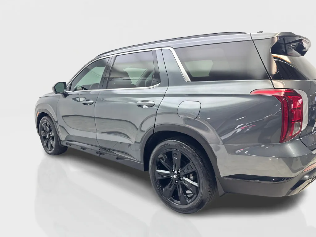 Hyundai Palisade photo 16