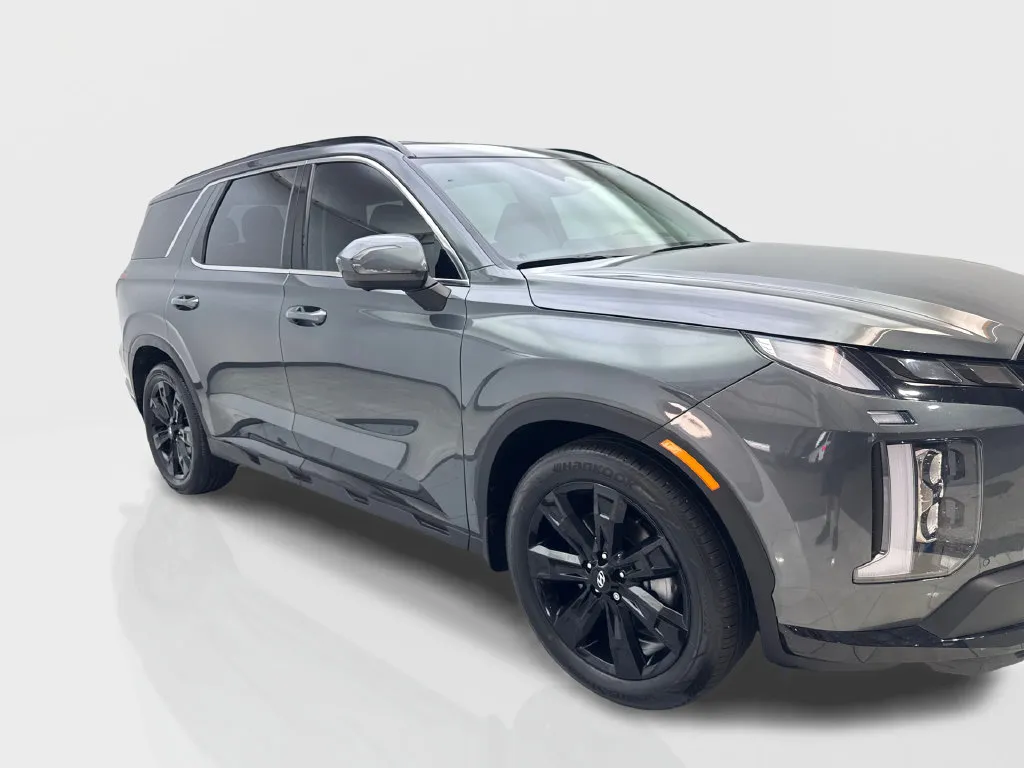 Hyundai Palisade photo 14