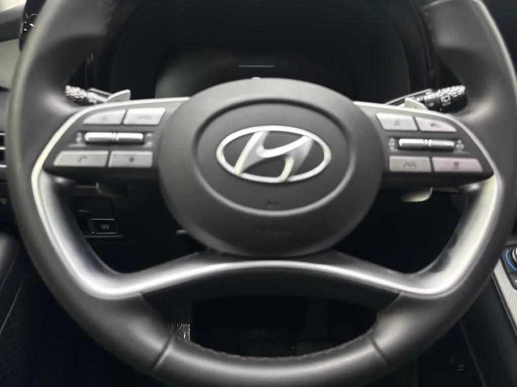 Hyundai Palisade photo 63