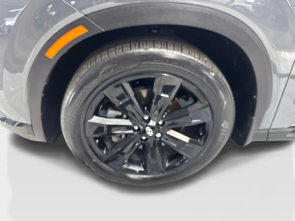 Hyundai Palisade photo 94