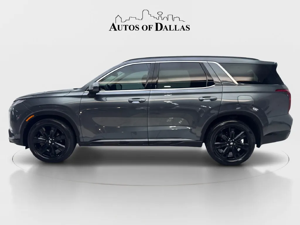 Hyundai Palisade photo 6
