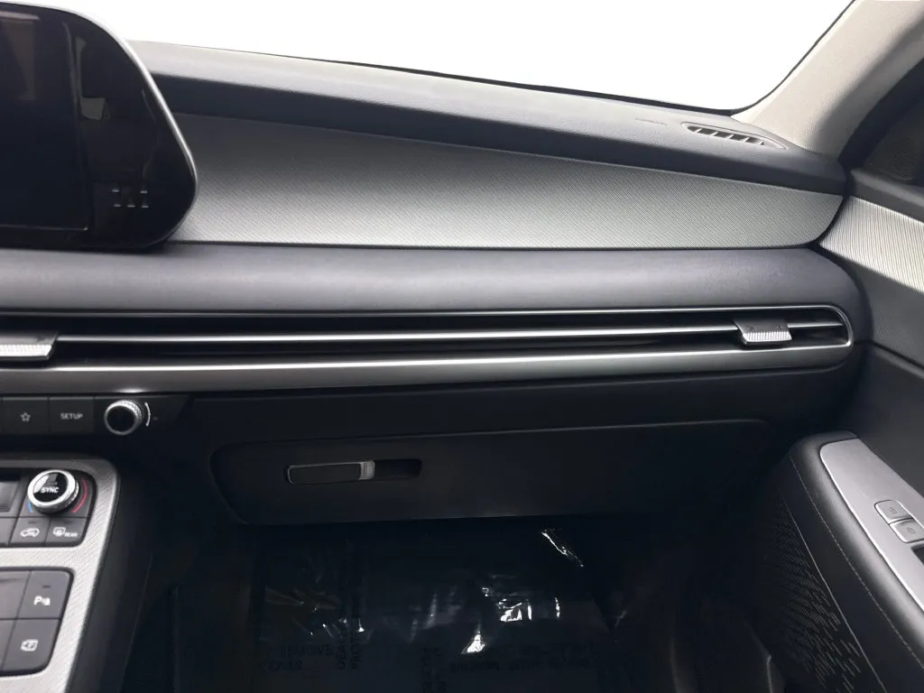 Hyundai Palisade photo 64