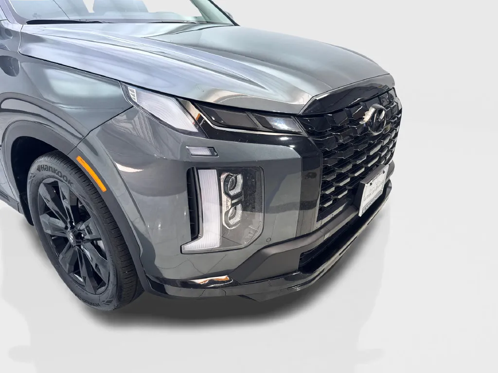 Hyundai Palisade photo 19