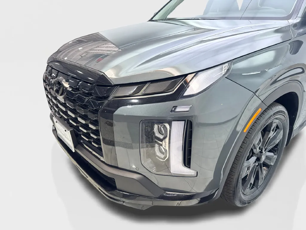 Hyundai Palisade photo 18