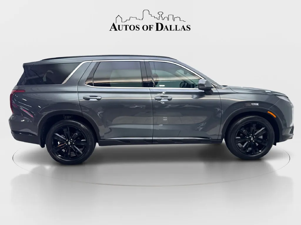 Hyundai Palisade photo 11