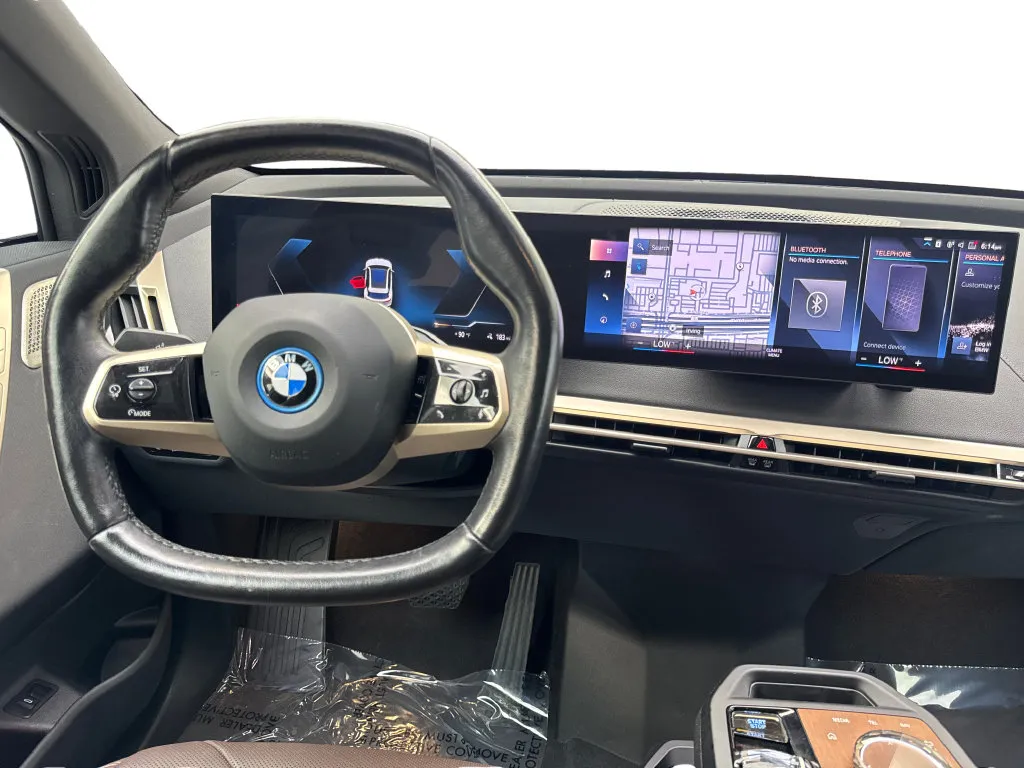 BMW iX photo 54