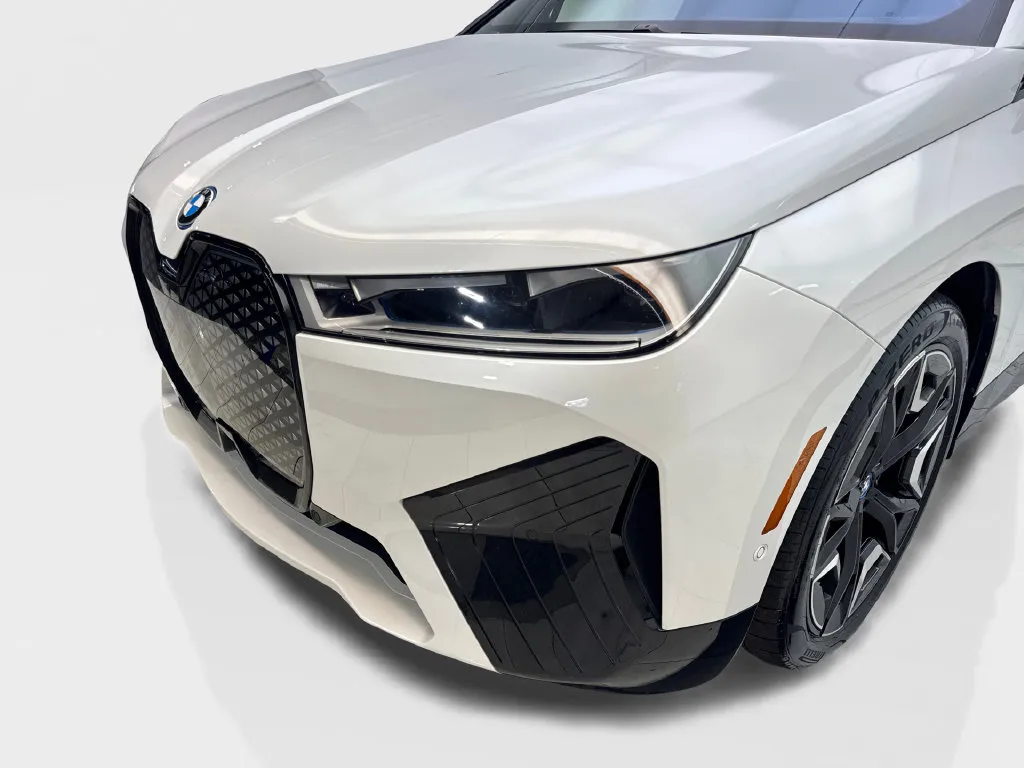 BMW iX photo 18