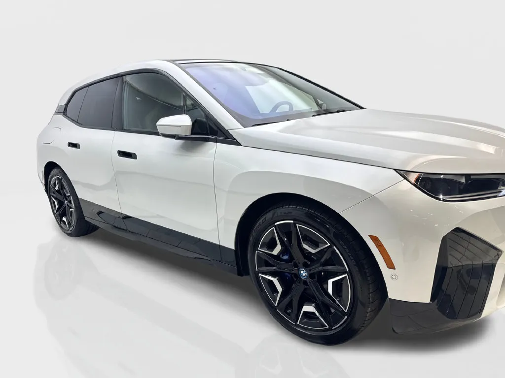 BMW iX photo 14