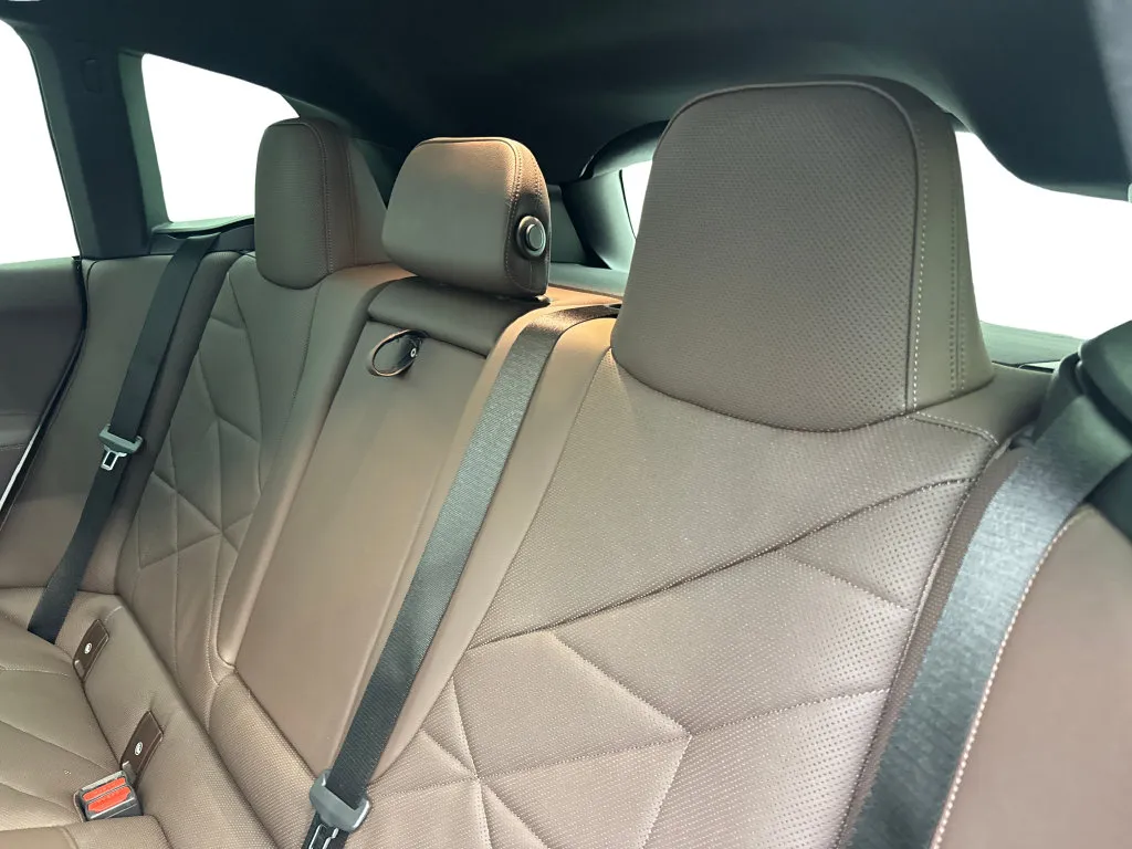 BMW iX photo 36
