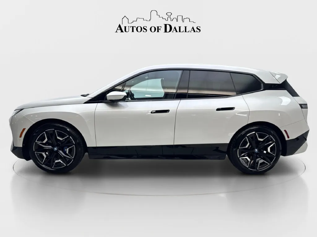 BMW iX photo 6