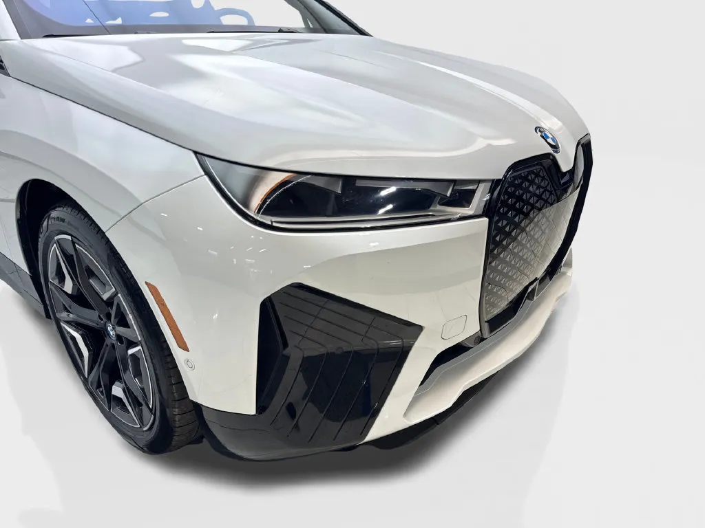 BMW iX photo 19