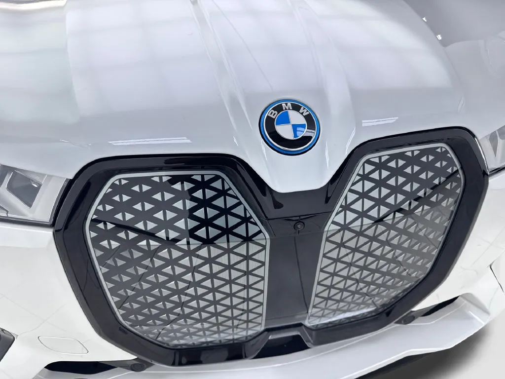 BMW iX photo 28