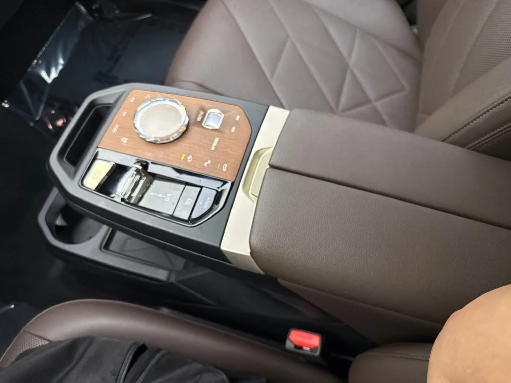 BMW iX photo 68