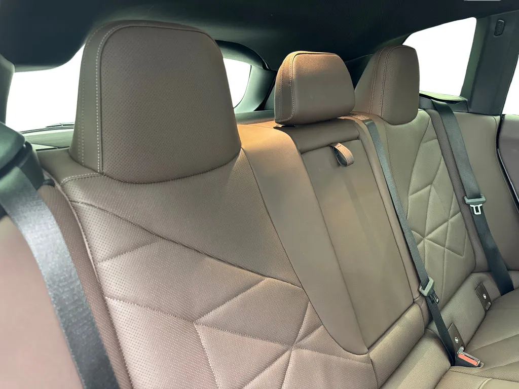 BMW iX photo 42