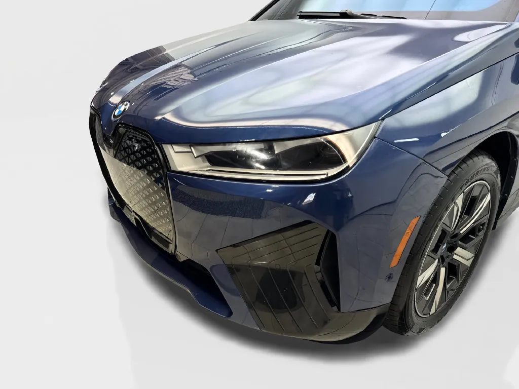 BMW iX photo 18