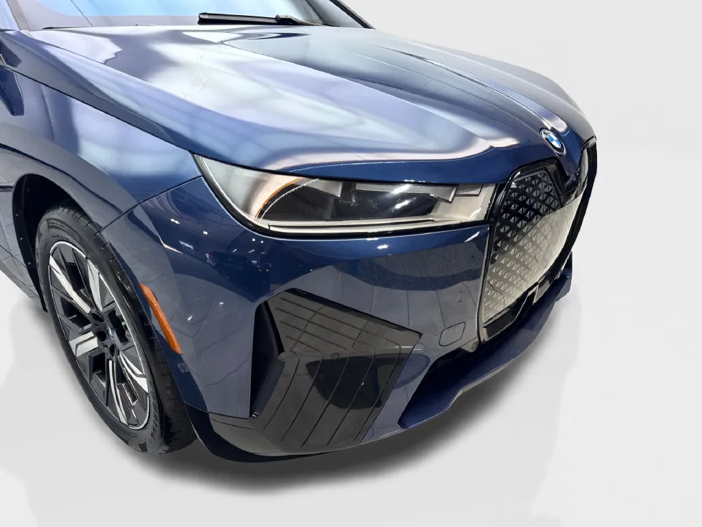 BMW iX photo 19