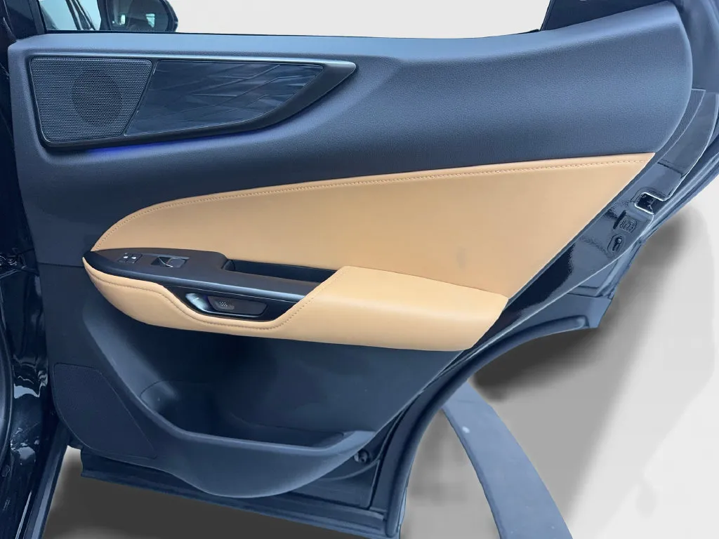 Lexus NX photo 44