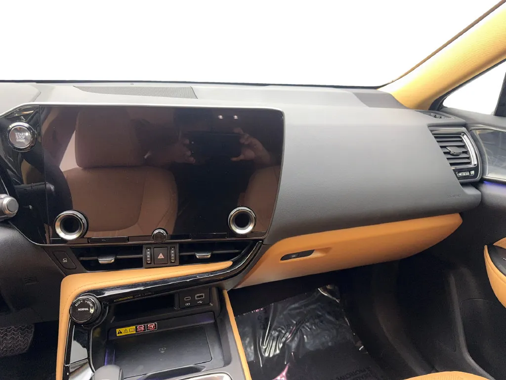 Lexus NX photo 56