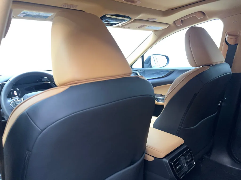 Lexus NX photo 37