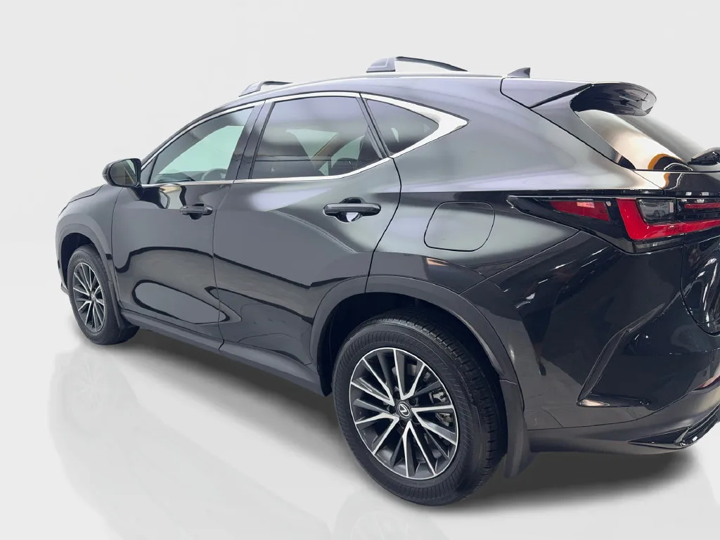 Lexus NX photo 16